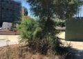 parque-huerta-tellez-suciedad-5