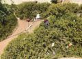 parque-huerta-tellez-suciedad-6