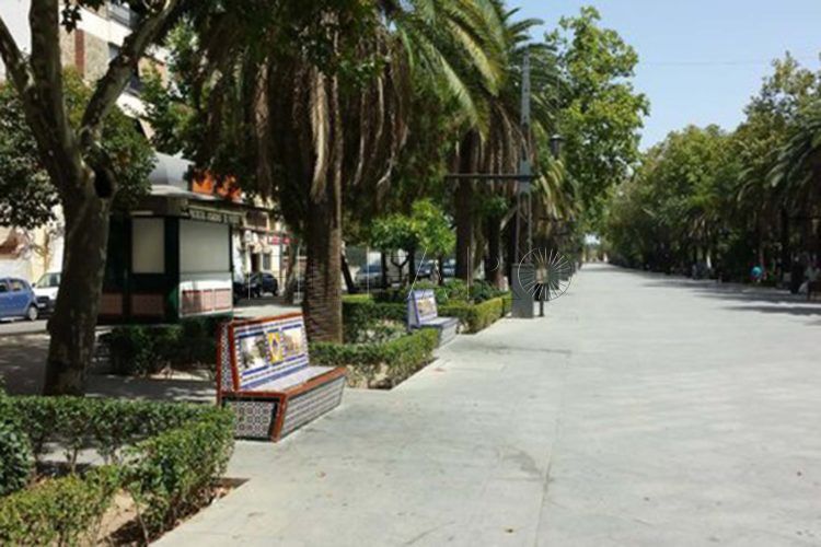 paseo-virgen-de-linarejos