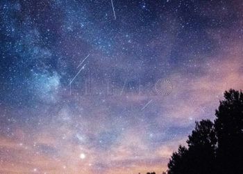 perseidas