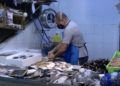 pescado-mercado-1