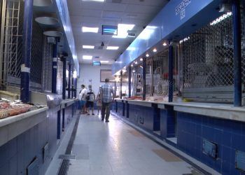 pescado-mercado-19