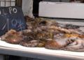 pescado-mercado-3