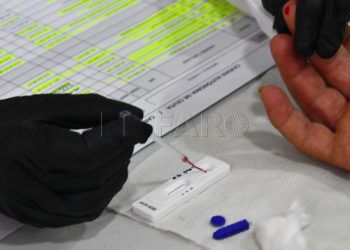 test-prueba-coronavirus