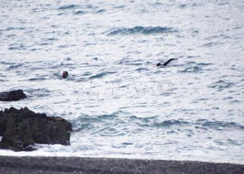 5-inmigrantes-nadadores-tarajal-guardia-civil-7