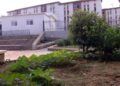 Huerto-Mixto-18