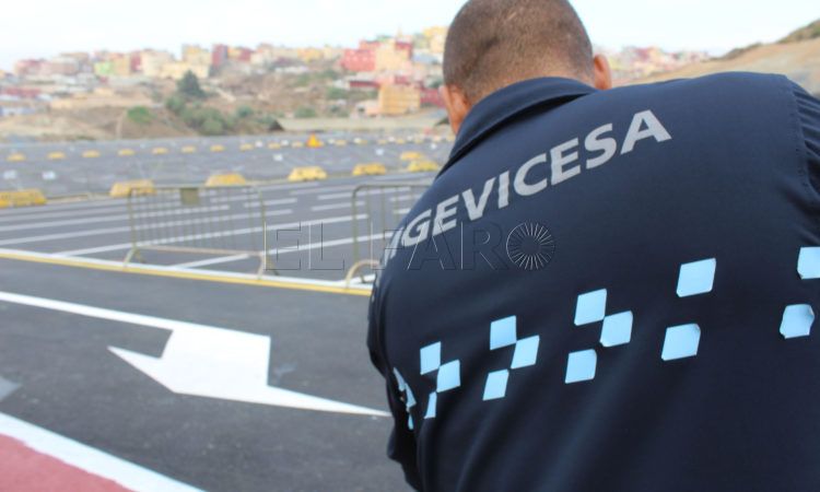 amgevicesa-1