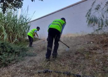 brigadas-verdes-desbroce-huerta-tellez-4