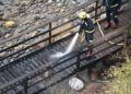 incendio-pasarela-fuente-caballo-5