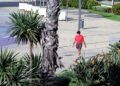 marina-parques-cierre-5