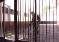 militares-desinfeccion-colegios-4