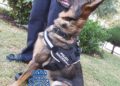 minuto-silencio-policia-nacional-jefatura-2