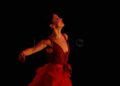 olga-pericet-revellin-3
