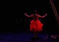 olga-pericet-revellin-9