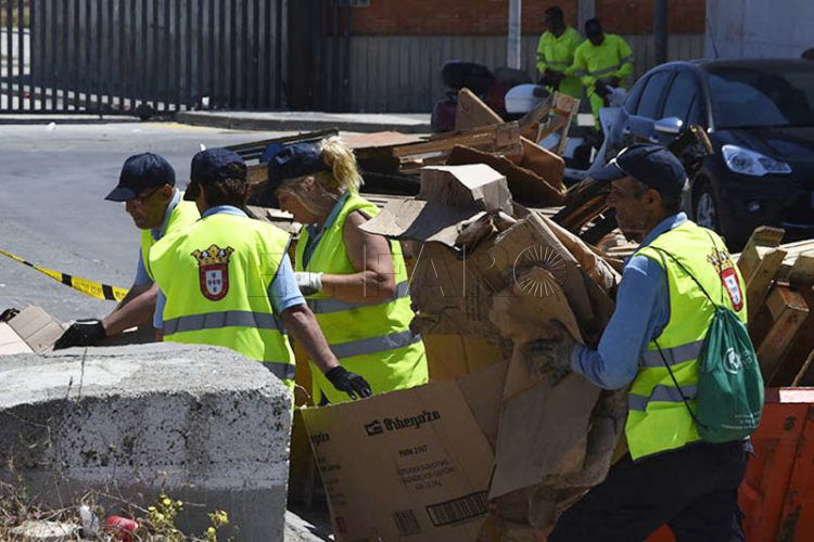 plan-empleo