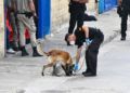 policia-nave-tarajal-identificar-ocupantes-2
