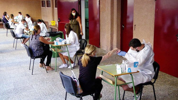 test-rápidos-profesores