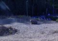 Motocross 9