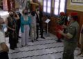 Regulares-7