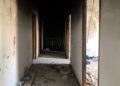 brull-abandono-10