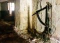 brull-abandono-11