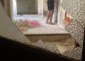 brull-abandono-13