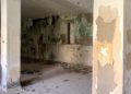 brull-abandono-14