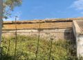 brull-abandono-16