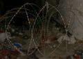 brull-abandono-24