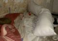 brull-abandono-26
