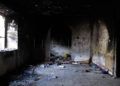 brull-abandono-5
