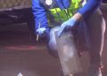 disparos-policia-local-27