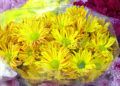 flores-difuntos5