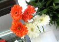 flores-difuntos9