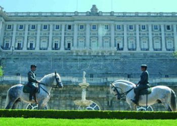 SEGURIDAD BODA REAL
