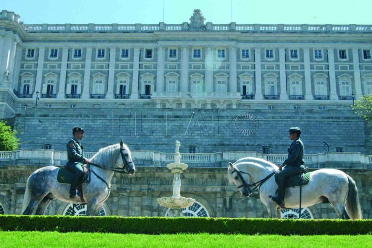 SEGURIDAD BODA REAL
