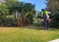 medio-ambiente-plan-empleo-murallas-reales-1