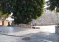 medio-ambiente-plan-empleo-murallas-reales-2