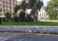 medio-ambiente-plan-empleo-murallas-reales-3