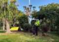 medio-ambiente-plan-empleo-murallas-reales-4