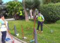 medio-ambiente-plan-empleo-murallas-reales-8