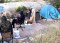 nadadores-marroquies-asentamiento-2