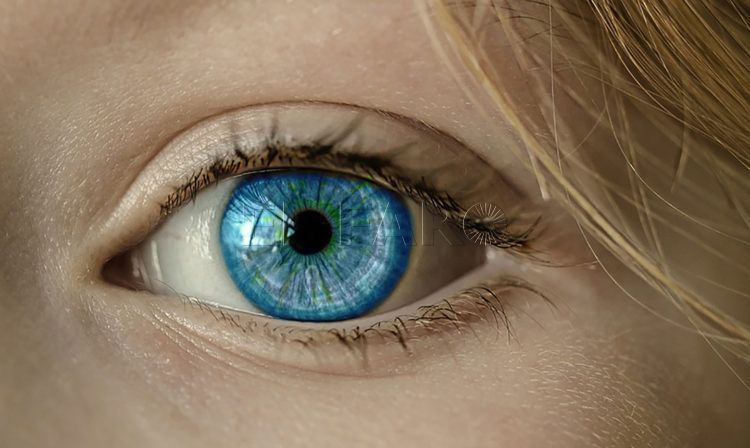 ojo-dia-mundial-visión