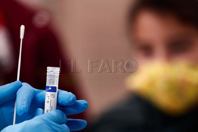prueba-pcr