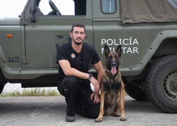 perro-soldado-ravel-comgeceu-3