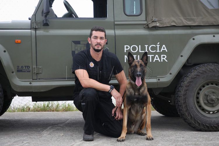 perro-soldado-ravel-comgeceu-3