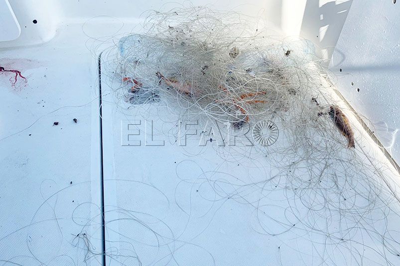 sedal-pescadores-marroquies