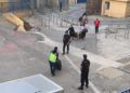 segunda-repatriacion-021020-21