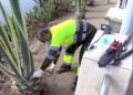 brigadas-verdes-recinto-12