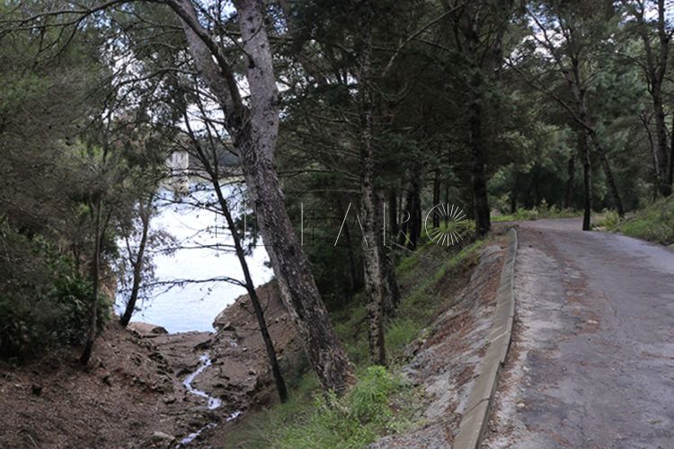 caminos-senderos-pantano